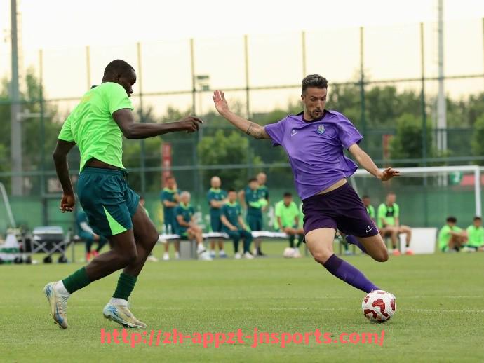 江南体育APP-2008年火箭队赛季精彩视频集锦