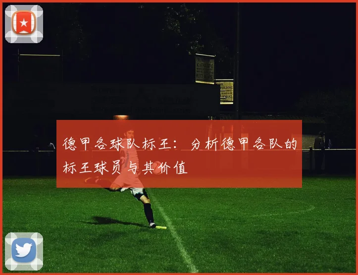 德甲各球队标王：分析德甲各队的标王球员与其价值
