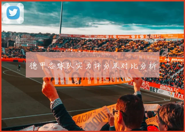 德甲各球队实力评分及对比分析