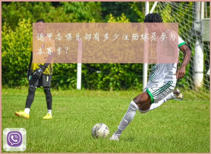 德甲各俱乐部有多少注册球员参与本赛季？